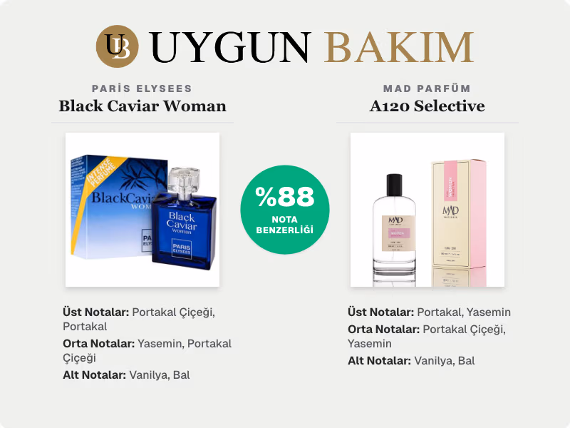 Paris Elysees Black Caviar Woman | Mad Parfüm A120 Selective Muadili