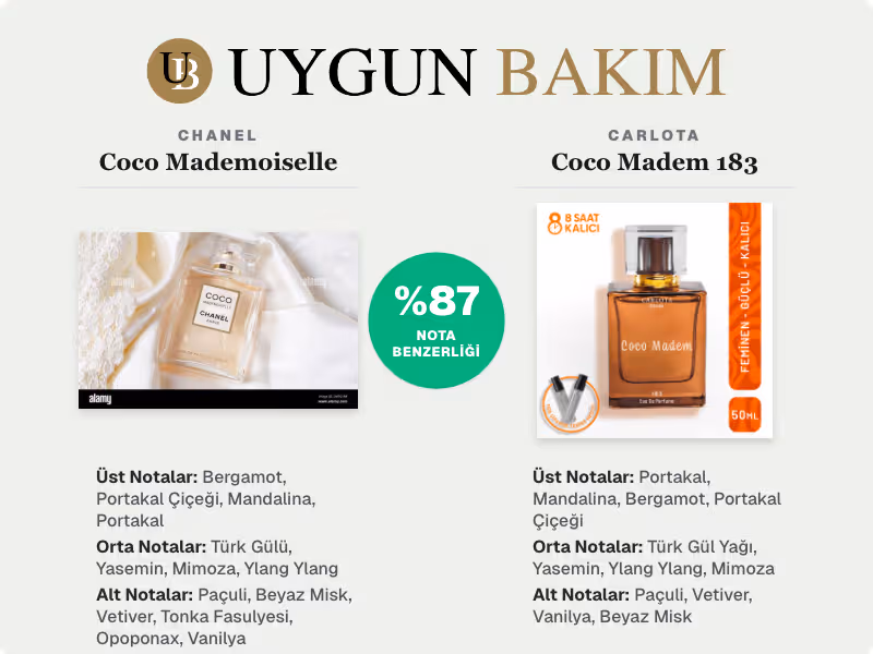 Chanel Coco Mademoiselle | Carlota Coco Madem 183 Muadili