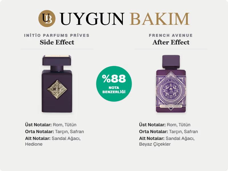 French Avenue After Effect Neyin Muadili?