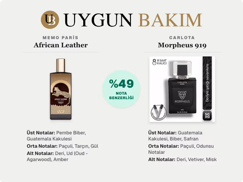 Memo Paris African Leather | Carlota Morpheus 919 Muadili