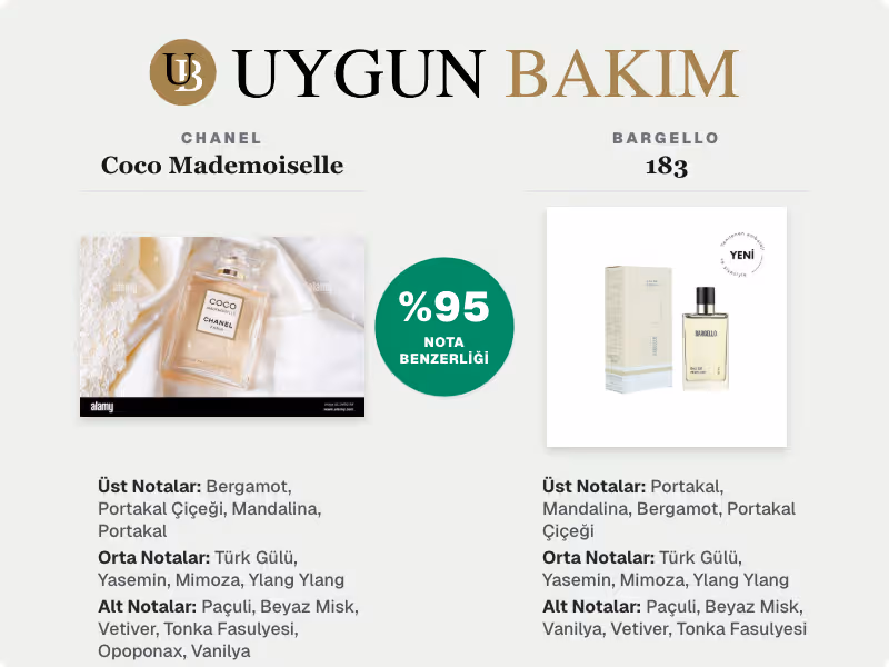 Chanel Coco Mademoiselle | Bargello 183 Muadili