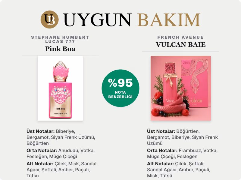 Stephane Humbert Lucas 777 Pink Boa | French Avenue VULCAN BAIE Muadili