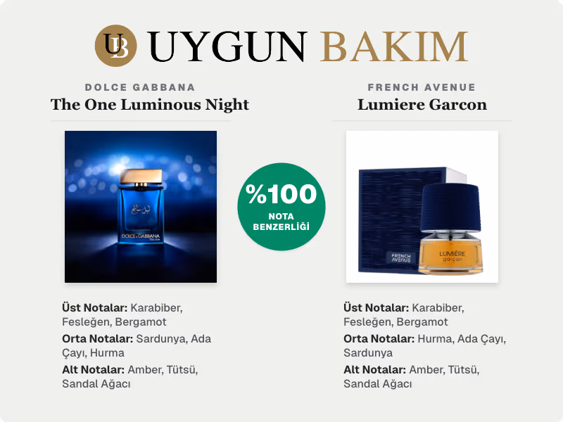 Dolce Gabbana The One Luminous Night | French Avenue Lumiere Garcon Muadili