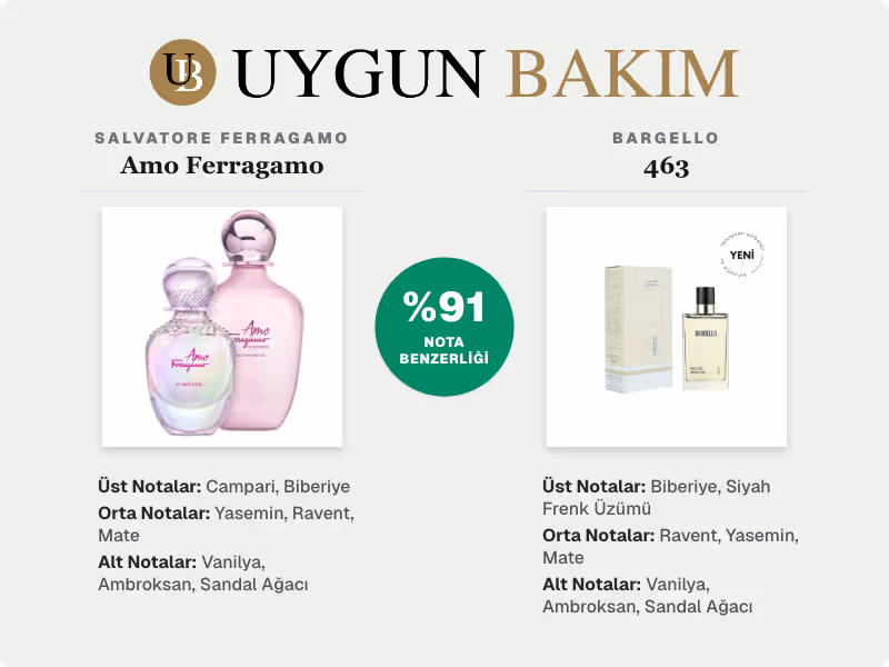 Salvatore Ferragamo Amo Ferragamo | Bargello 463 Muadili