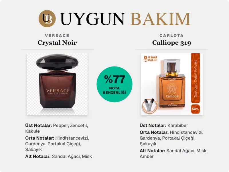 Versace Crystal Noir | Carlota Calliope 319 Muadili