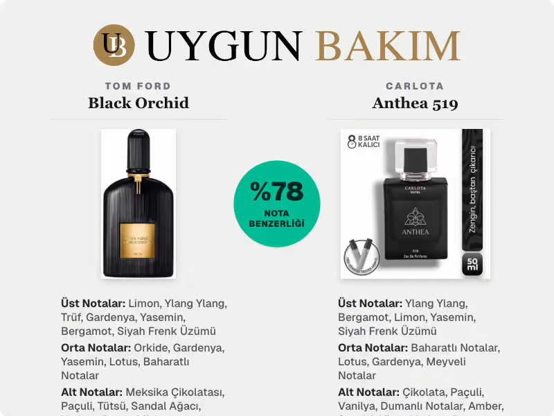 Tom Ford Black Orchid | Carlota Anthea 519 Muadili