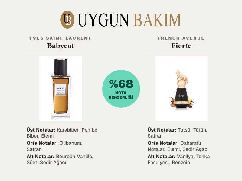 Yves Saint Laurent Babycat | French Avenue Fierte Muadili