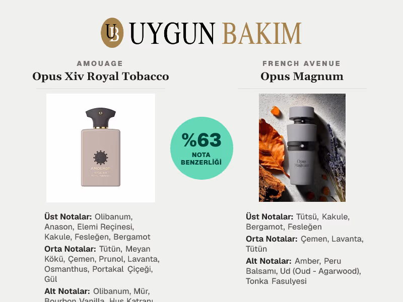 Amouage Opus Xiv Royal Tobacco | French Avenue Opus Magnum Muadili