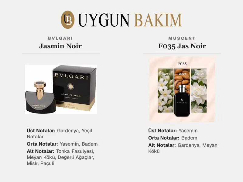Bvlgari Jasmin Noir | Muscent F035 Jas Noir Muadili