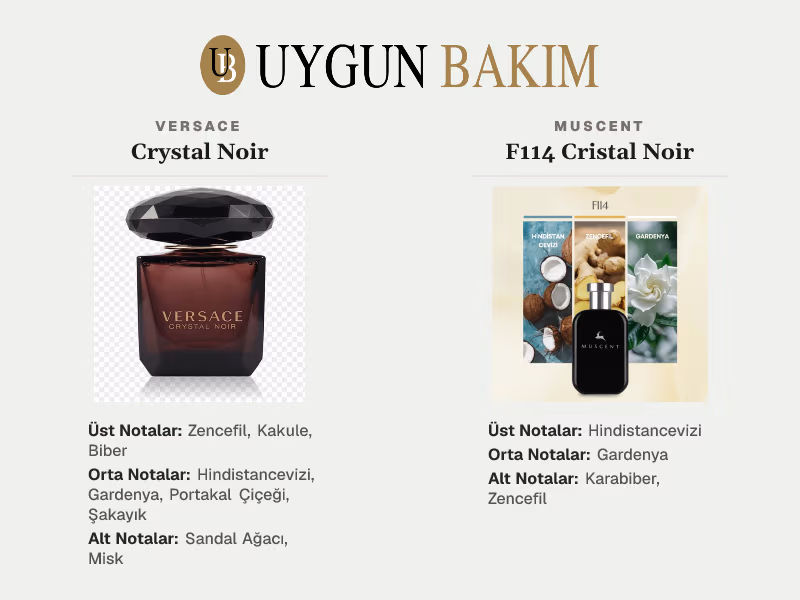 Versace Crystal Noir | Muscent F114 Cristal Noir Muadili