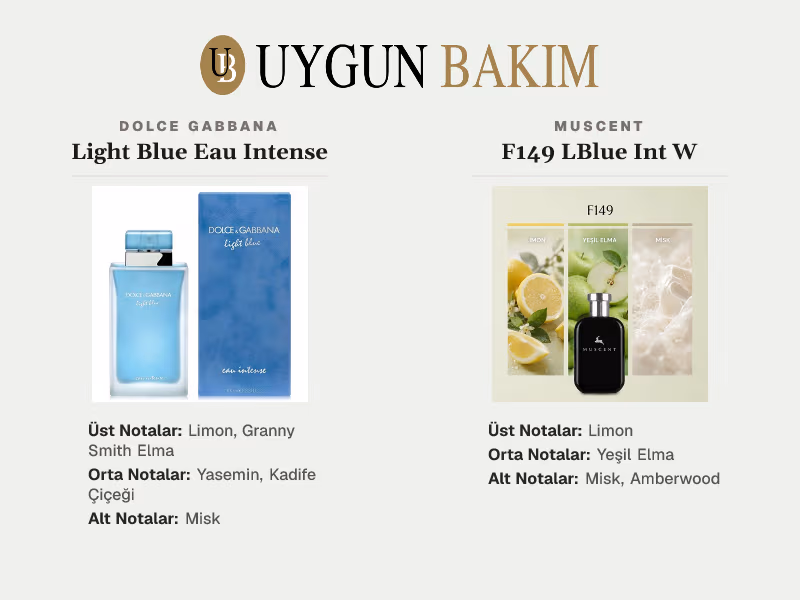 Dolce Gabbana Light Blue Eau Intense | Muscent F149 LBlue Int W Muadili