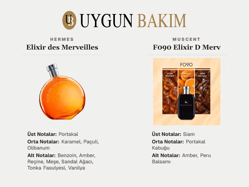 Hermes Elixir des Merveilles | Muscent F090 Elixir D Merv Muadili