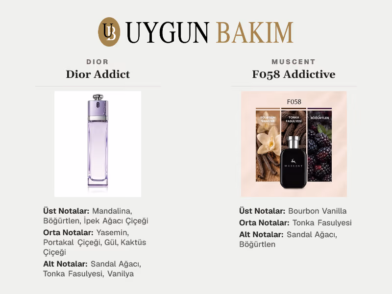 Dior Addict | Muscent F058 Addictive Muadili