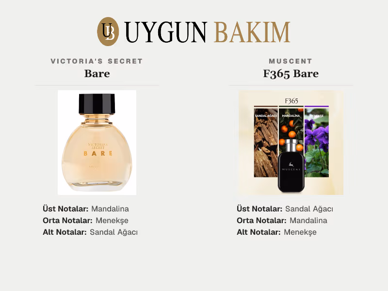 Victoria's Secret Bare | Muscent F365 Bare Muadili