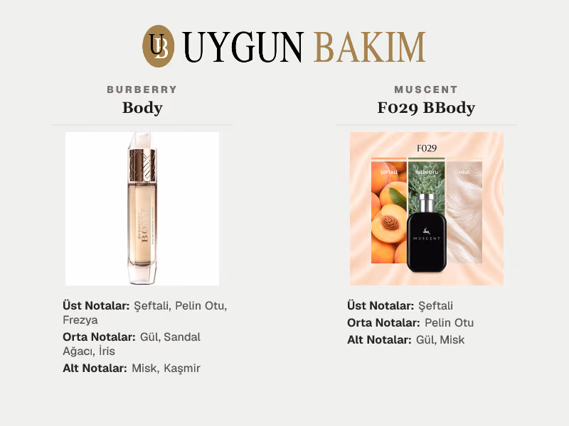 Burberry Body | Muscent F029 BBody Muadili