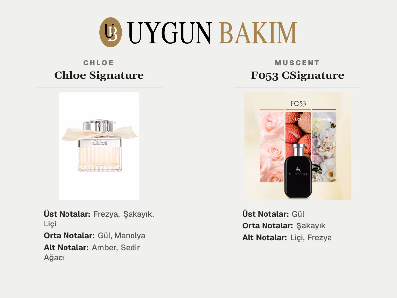 Chloe Signature | Muscent F053 CSignature Muadili