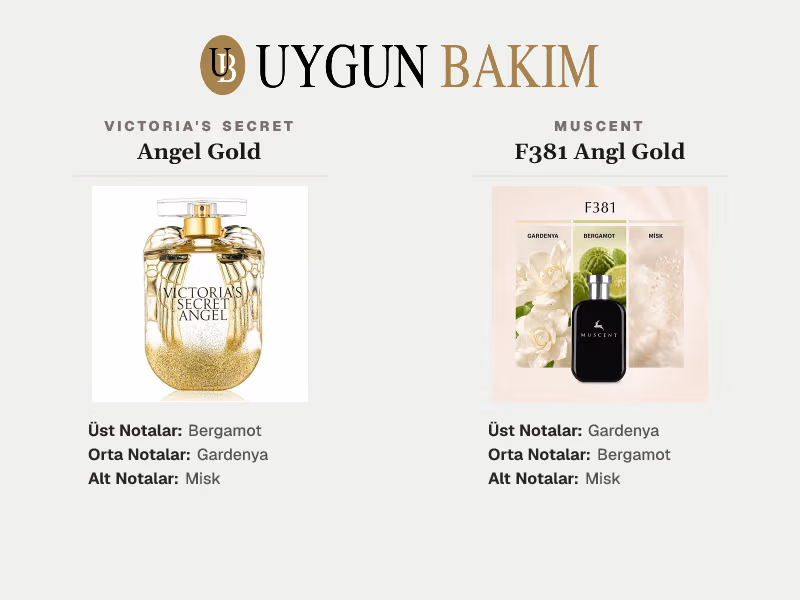 Victoria's Secret Angel Gold | Muscent F381 Angl Gold Muadili