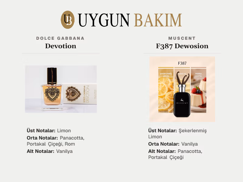 Dolce Gabbana Devotion | Muscent F387 Dewosion Muadili