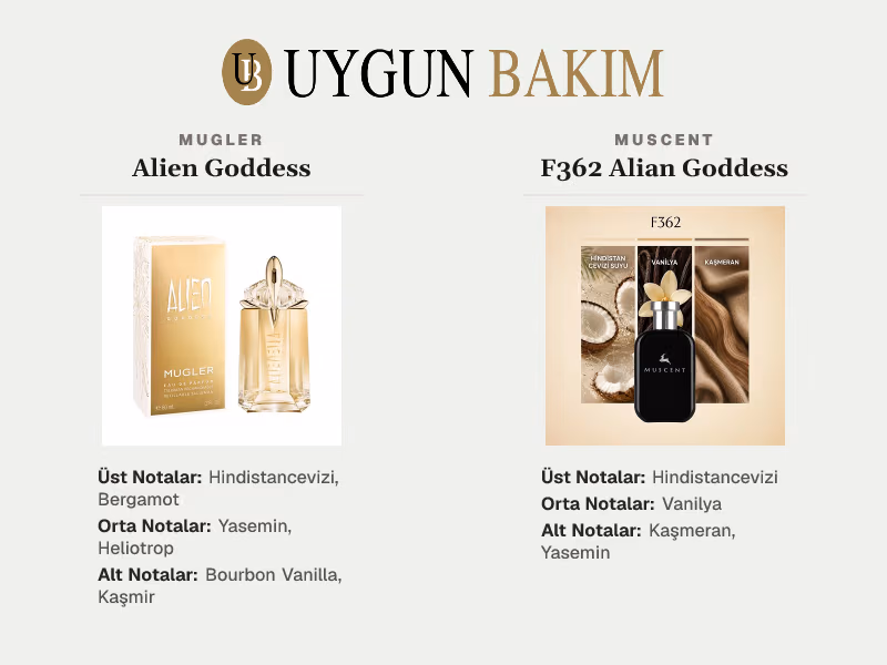 Mugler Alien Goddess | Muscent F362 Alian Goddess Muadili
