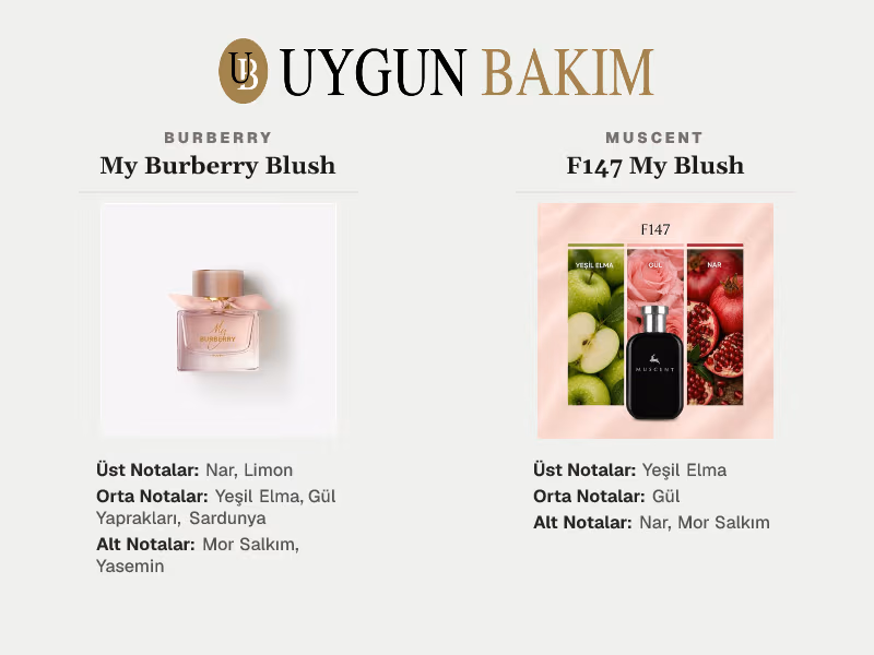 Burberry My Burberry Blush | Muscent F147 My Blush Muadili