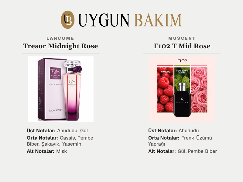 Lancome Tresor Midnight Rose | Muscent F102 T Mid Rose Muadili