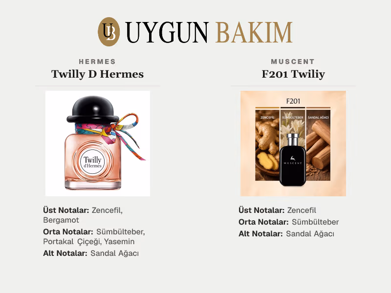Hermes Twilly D Hermes | Muscent F201 Twiliy Muadili