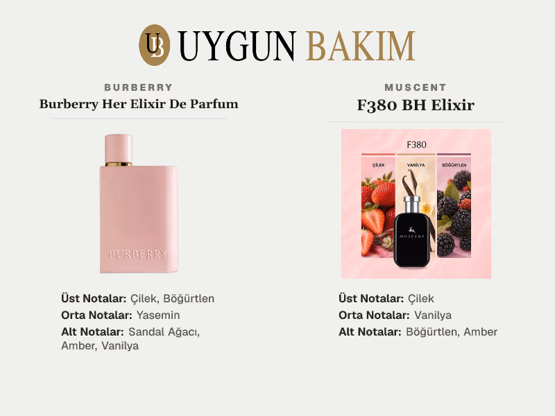 Burberry Her Elixir De Parfum | Muscent F380 BH Elixir Muadili