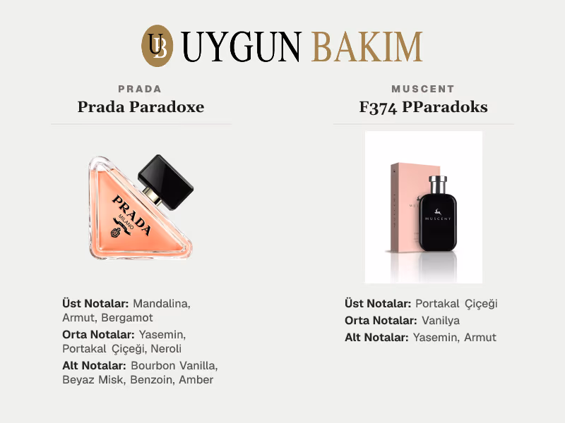 Prada Paradoxe | Muscent F374 PParadoks Muadili