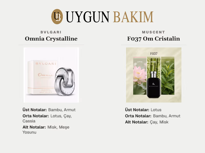 Bvlgari Omnia Crystalline | Muscent F037 Om Cristalin Muadili