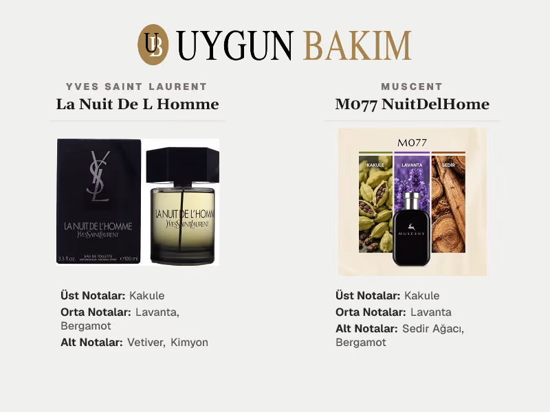 Yves Saint Laurent La Nuit De L Homme | Muscent M077 NuitDelHome Muadili