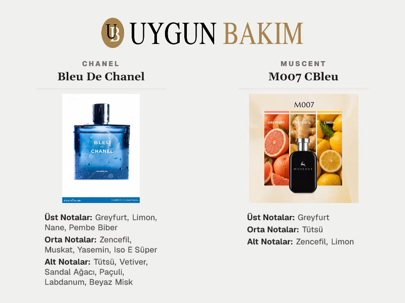 Chanel Bleu De Chanel | Muscent M007 CBleu Muadili