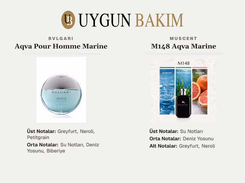 Bvlgari Aqva Pour Homme Marine | Muscent M148 Aqva Marine Muadili
