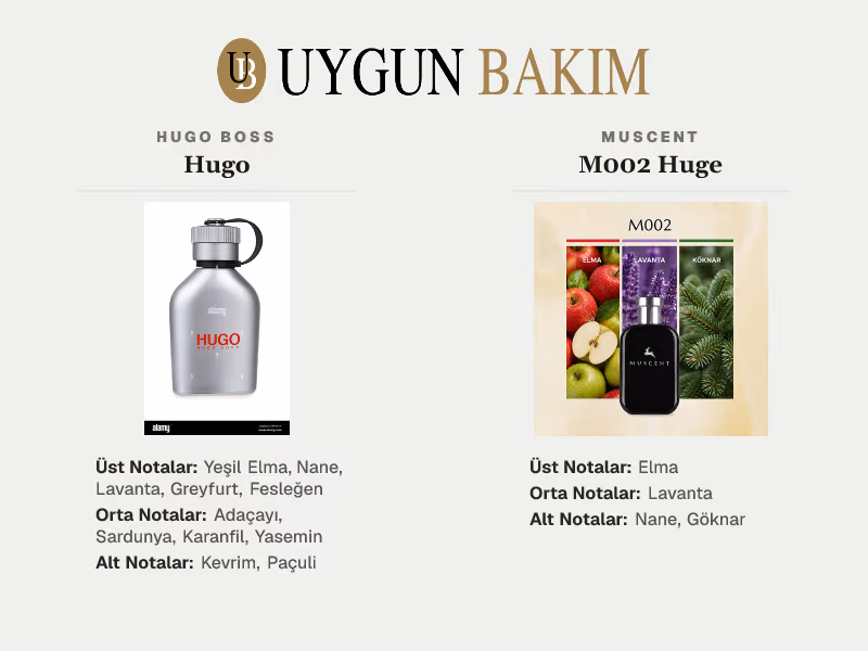 Hugo Boss Hugo | Muscent M002 Huge Muadili