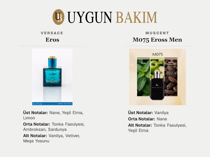Versace Eros | Muscent M075 Eross Men Muadili