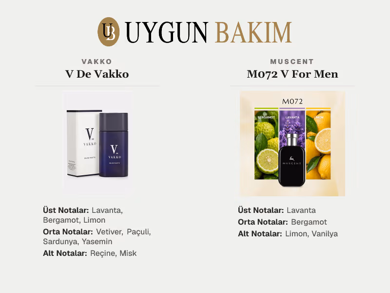 Vakko V De Vakko | Muscent M072 V For Men Muadili