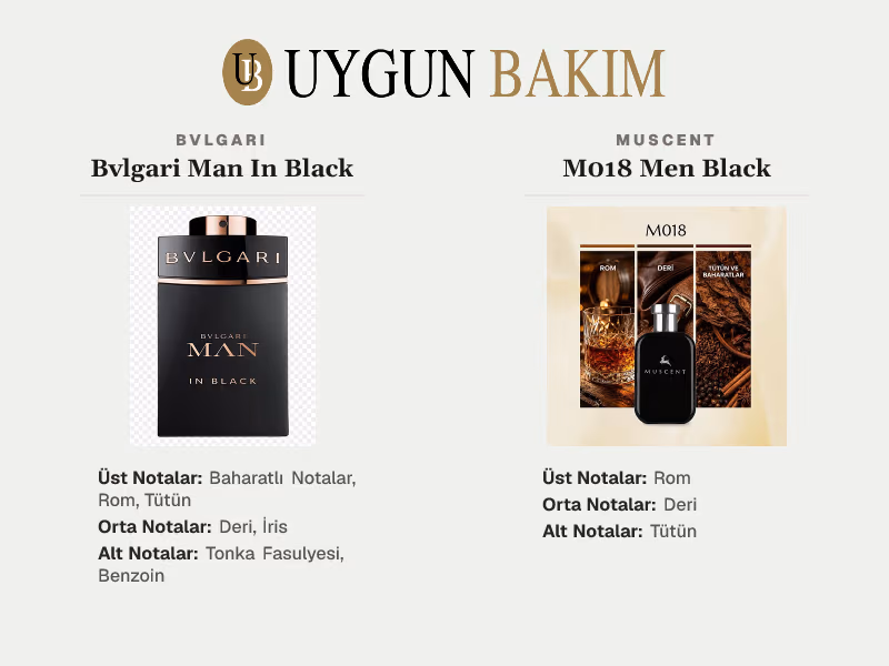 Bvlgari Man In Black | Muscent M018 Men Black Muadili