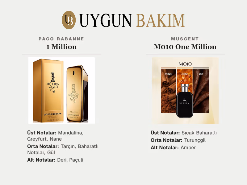 Paco Rabanne 1 Million | Muscent M010 One Million Muadili