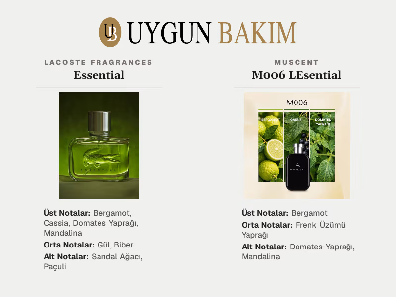 Lacoste Fragrances Essential | Muscent M006 LEsential Muadili