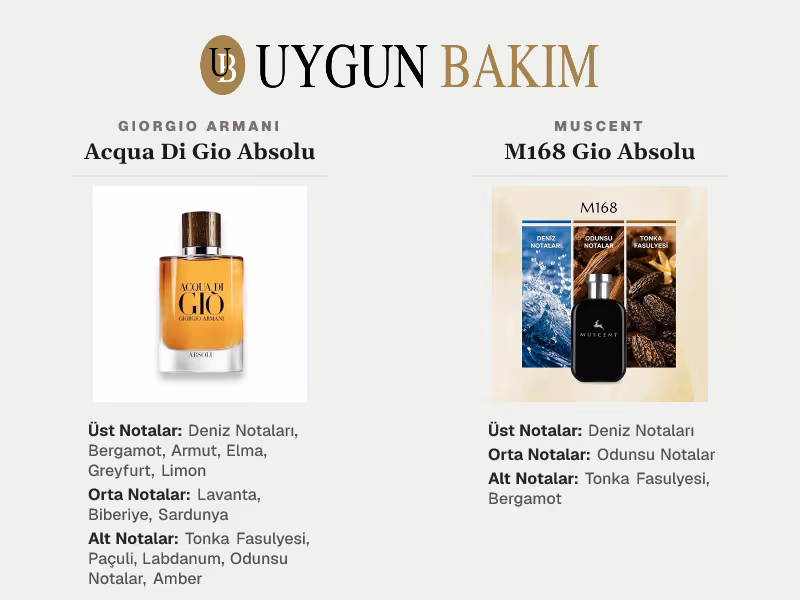 Giorgio Armani Acqua Di Gio Absolu | Muscent M168 Gio Absolu Muadili