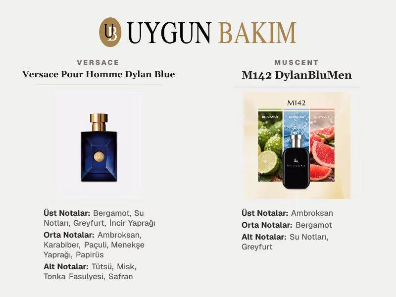Versace Pour Homme Dylan Blue | Muscent M142 DylanBluMen Muadili