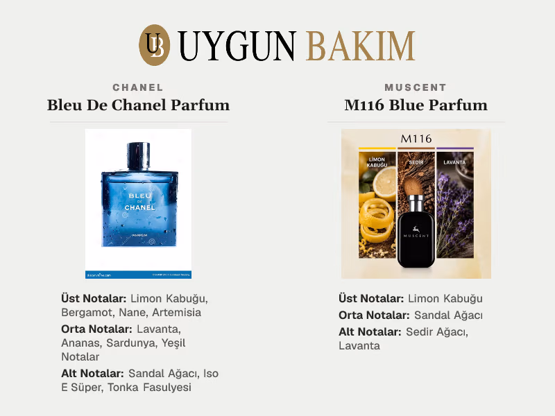 Chanel Bleu De Chanel Parfum | Muscent M116 Blue Parfum Muadili