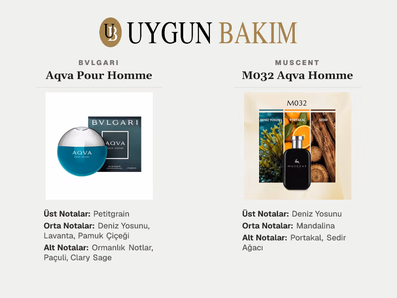 Bvlgari Aqva Pour Homme | Muscent M032 Aqva Homme Muadili