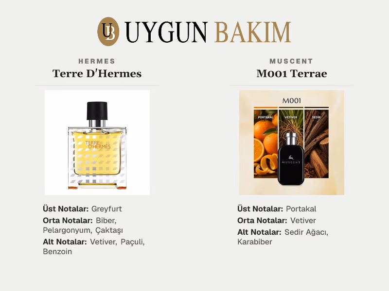 Hermes Terre D'Hermes | Muscent M001 Terrae Muadili