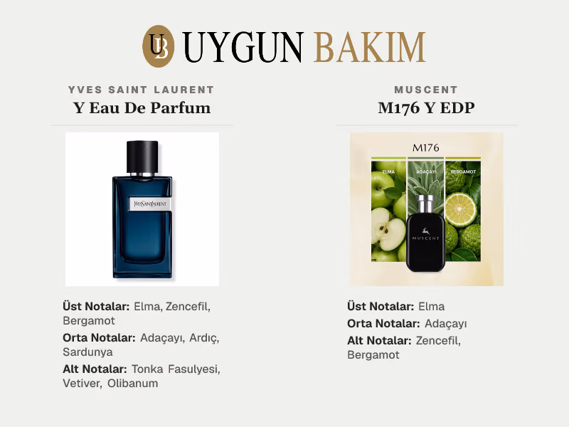 Yves Saint Laurent Y Eau De Parfum | Muscent M176 Y EDP Muadili