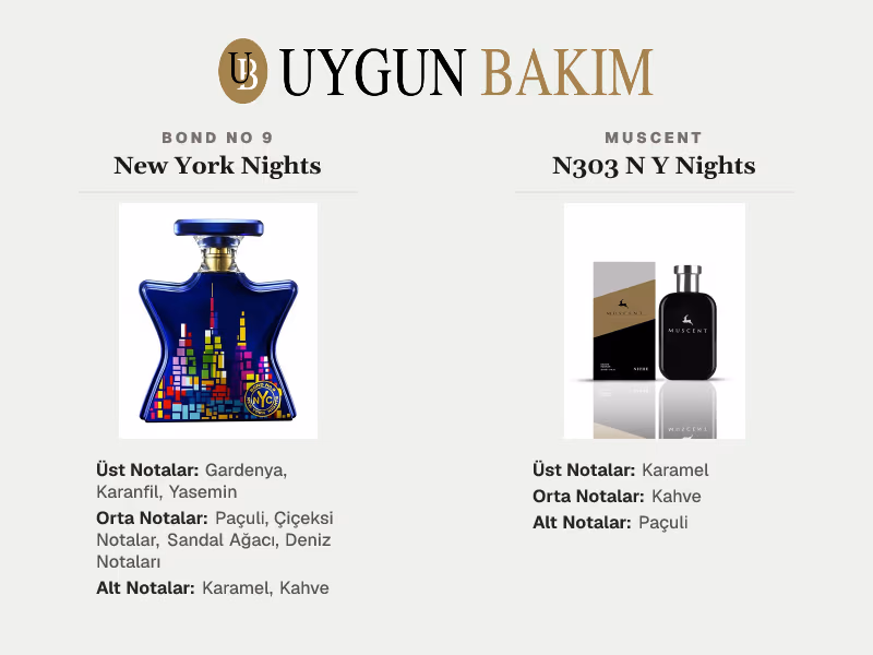 Bond No 9 New York Nights | Muscent N303 N Y Nights Muadili