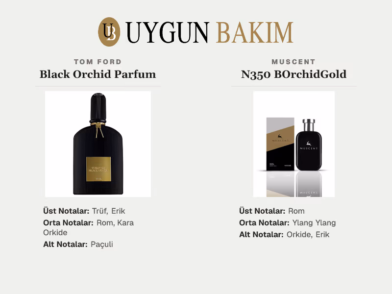 Tom Ford Black Orchid Parfum | Muscent N350 BOrchidGold Muadili