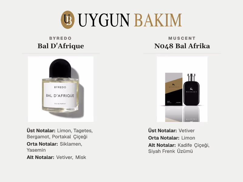 Byredo Bal D'Afrique | Muscent N048 Bal Afrika Muadili