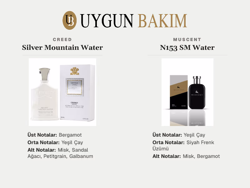 Creed Silver Mountain Water | Muscent N153 SM Water Muadili