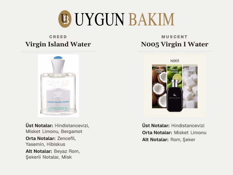 Creed Virgin Island Water | Muscent N005 Virgin I Water Muadili