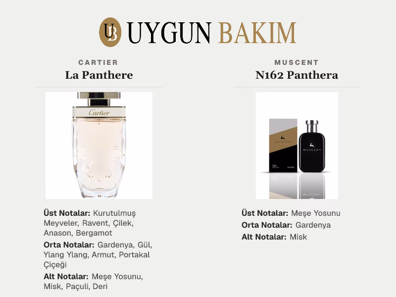 Cartier La Panthere | Muscent N162 Panthera Muadili